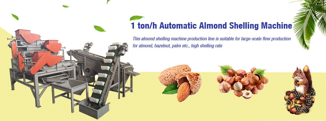 Automatic Almond Shelling Crack