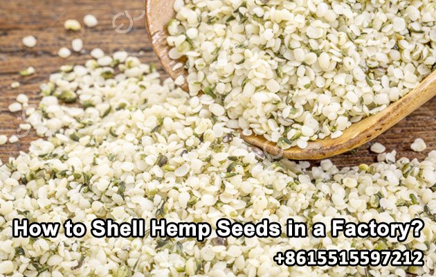 How to Shell Hemp Seeds in a Factory?