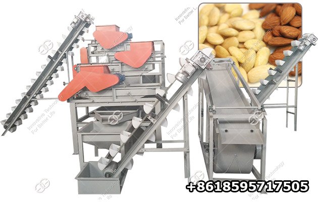 Automatic Hazelnut Shelling Machine