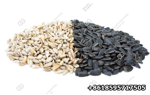 Shelling Equipment for Sunflower Seeds