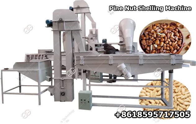 Commercial Pine Nut Shelling Machine