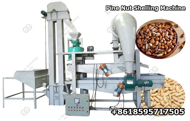 Pine Nut Processing Equipment