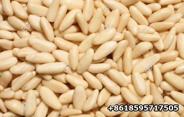 Pine Nuts Processing Machines