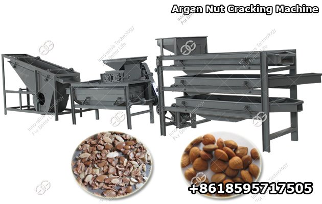 Argan Nut Shelling Machine