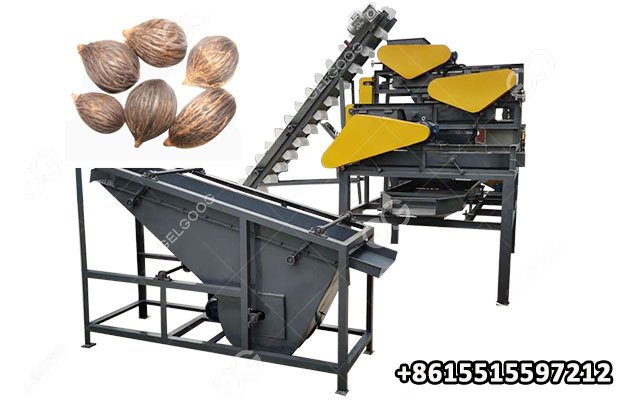 1 T Palm Kernel Cracker and Separator Machine in Nigeria
