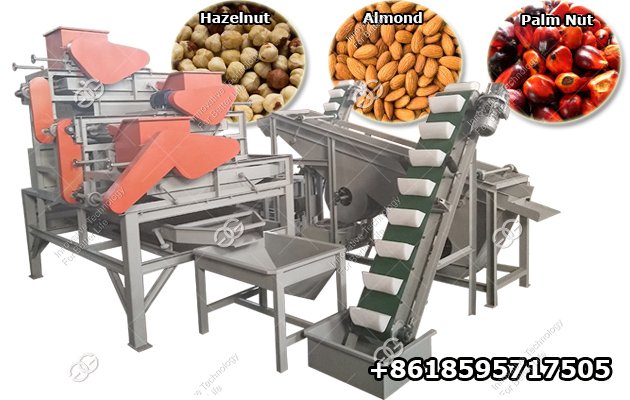 <b>Automatic Palm Almond Shelling Machine Hazelnut Cracking Machine for Sale</b>