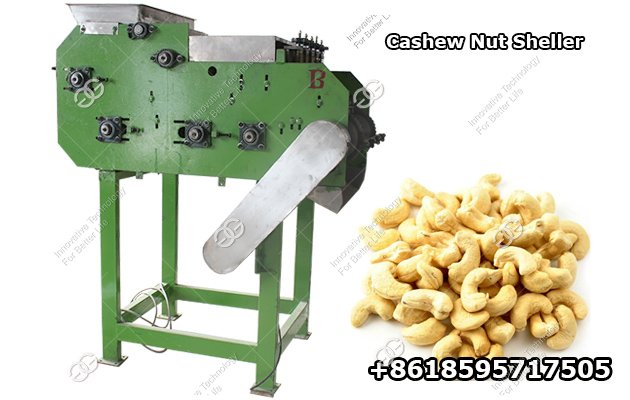 Cashew Nut Processing Machine